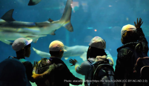 Ibaraki Prefectural Oarai Aquarium (Ibaraki) – Access, Hours & Fees