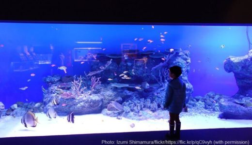 Oga Aquarium GAO (Akita) – Access & Fees