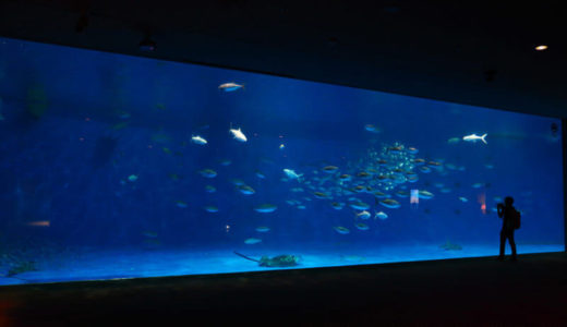 Io World Kagoshima City Aquarium (Kagoshima) – Access, Hours & Fees