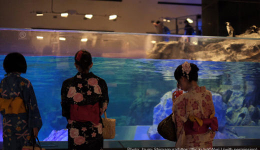 Sumida Aquarium (Tokyo) – Access, Hours & Fees