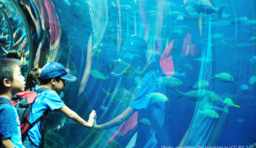 Enoshima Aquarium (Kanagawa) – Access, Hours & Fees