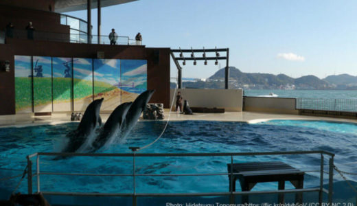 Shimonoseki Aquarium Kaikyokan (Yamaguchi) – Access, Hours & Fees