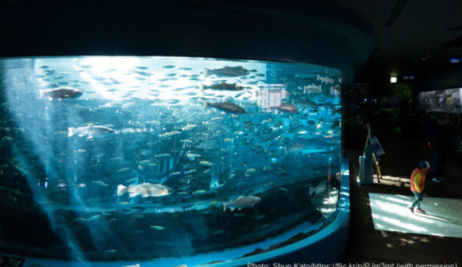 Fuji Yusui no Sato Aquarium (Yamanashi) – Access, Hours & Fees
