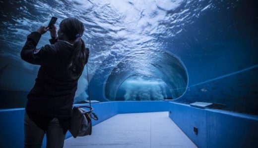 Notojima Aquarium (Ishikawa) – Access, Hours & Fees