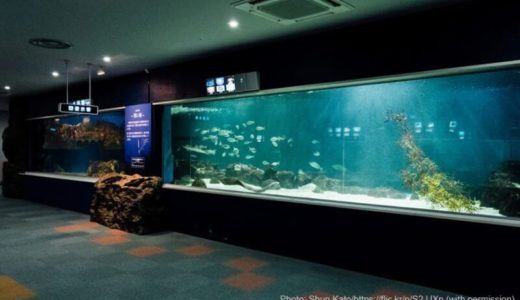 Sunpiazza Aquarium (Sapporo, Hokkaido) – Access & Fees