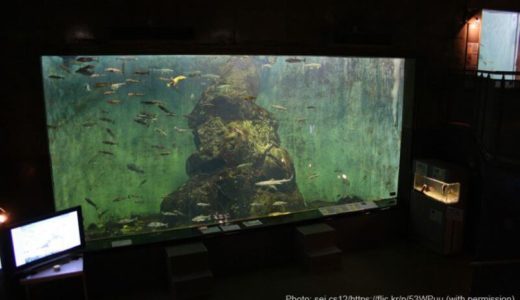Shibetsu Salmon Museum (Hokkaido) – Access, Hours & Fees